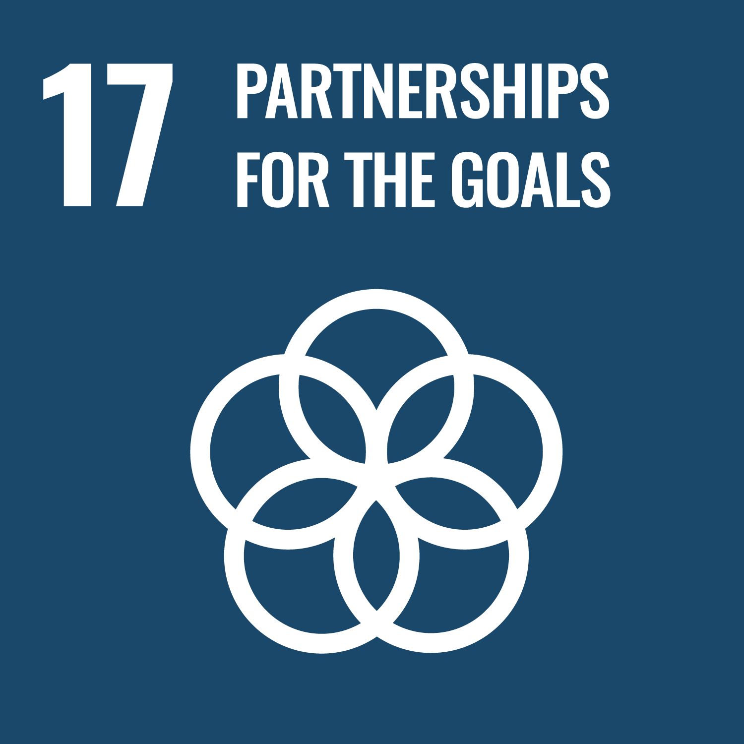 Goals 17 Strengthen the means of implementation and revitalize the global partnership for sustainable development